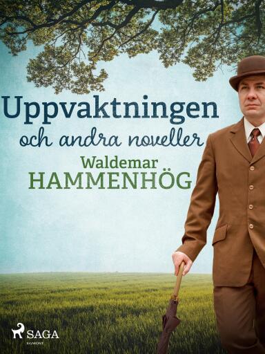 Portada del libro «Uppvaktningen och andra noveller», de Waldemar Hammenhög