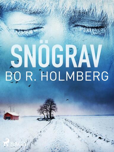 Portada del libro «Snögrav», de Bo R. Holmberg