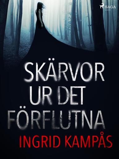 Portada del libro «Skärvor ur det förflutna», de Ingrid Kampås