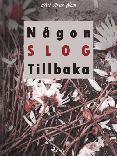 Portada del libro «Någon slog tillbaka», de Karl Arne Blom