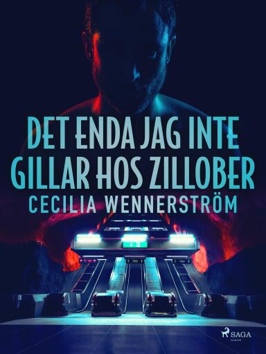 Portada del libro «Det enda jag inte gillar hos zillober», de Cecilia Wennerström