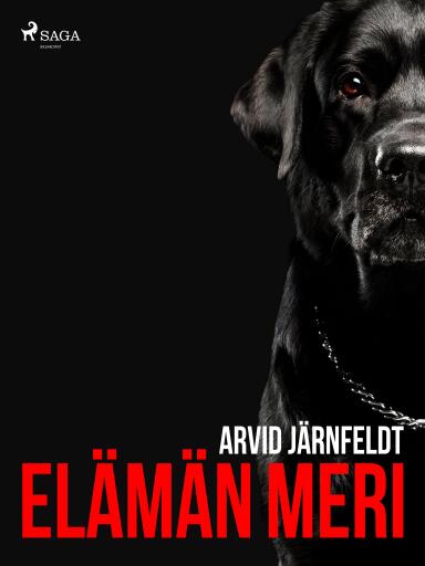 Portada del libro «Elämän meri», de Arvid Järnefelt