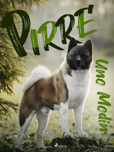 Portada del libro «Pirre», de Uno Modin