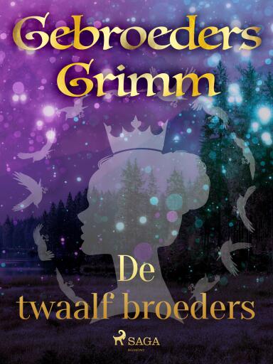 Portada del libro «De twaalf broeders», de De gebroeders Grimm