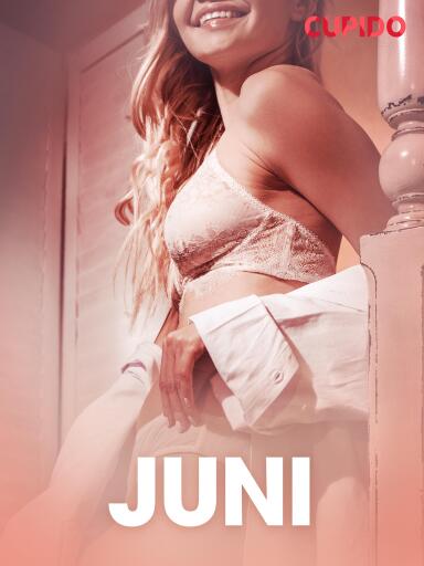 Portada del libro «Juni – erotiska noveller»