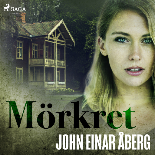 Portada del audiolibro «Mörkret», de John Einar Åberg