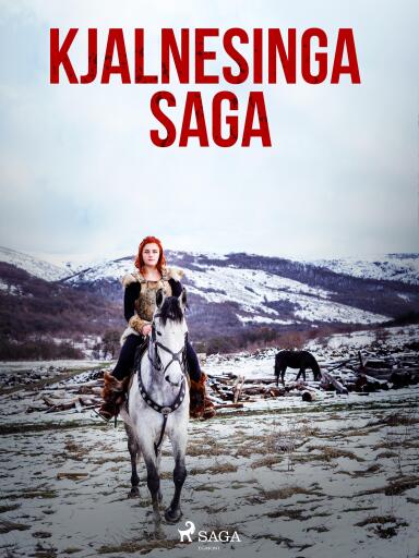 Portada del libro «Kjalnesinga saga», de Óþekktur