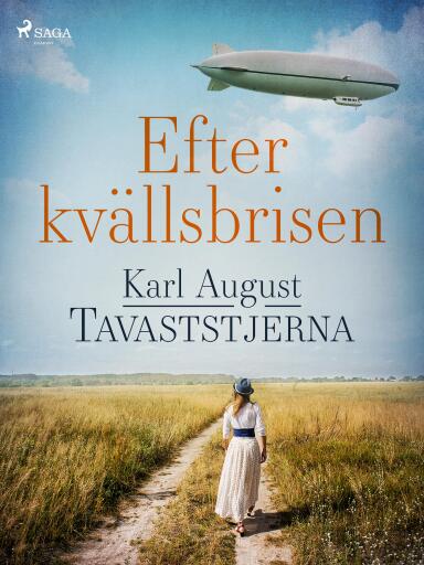 Portada del libro «Efter kvällsbrisen», de Karl August Tavaststjerna