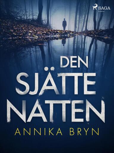 Portada del libro «Den sjätte natten», de Annika Bryn