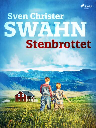 Portada del libro «Stenbrottet», de Sven Christer Swahn