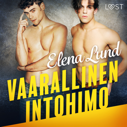 Portada del audiolibro «Vaarallinen intohimo - eroottinen novelli», de Elena Lund