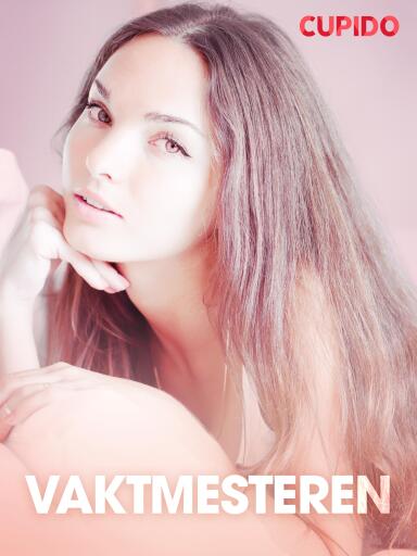 Portada del libro «Vaktmesteren – erotiske noveller (NO)»