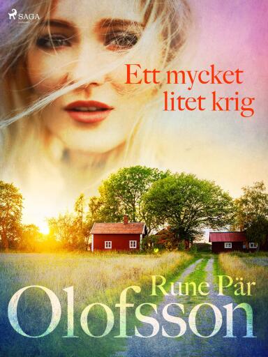 Portada del libro «Ett mycket litet krig», de Rune Pär Olofsson