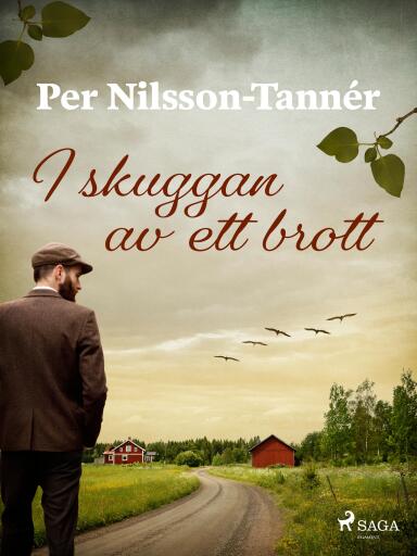 Portada del libro «I skuggan av ett brott»