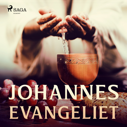 Portada del audiolibro «Johannesevangeliet», de Flera Författare