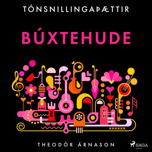 Portada del audiolibro «Tónsnillingaþættir: Búxtehude», de Theódór Árnason