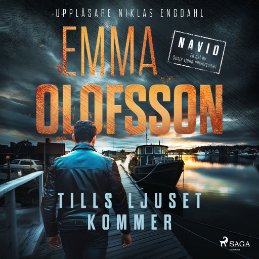 Portada del audiolibro «Tills ljuset kommer», de Emma Olofsson