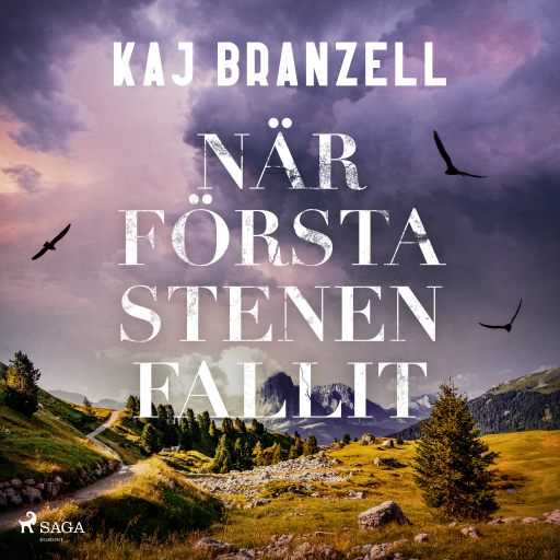 Portada del audiolibro «När första stenen fallit», de Kaj Branzell