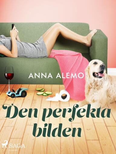 Portada del libro «Den perfekta bilden»