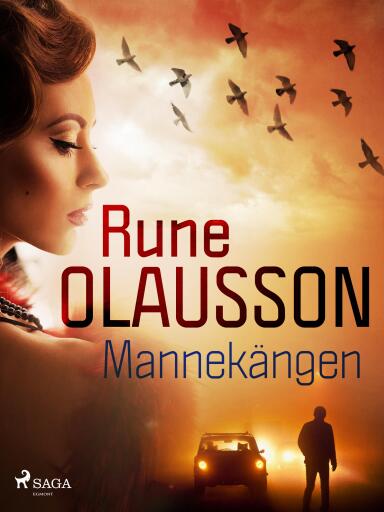 Portada del libro «Mannekängen», de Rune Olausson