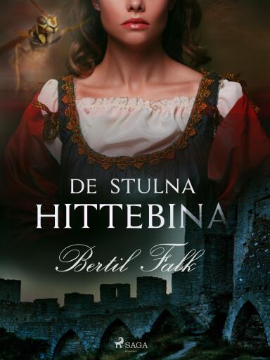 Portada del libro «De stulna hittebina»