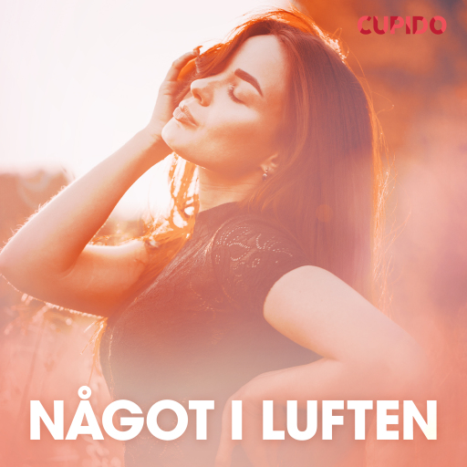 Portada del audiolibro «Något i luften - erotiska noveller», de Cupido
