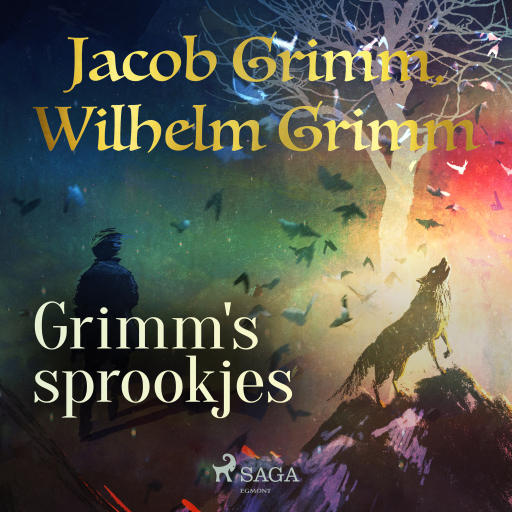 Portada del audiolibro «Grimm's sprookjes», de De gebroeders Grimm