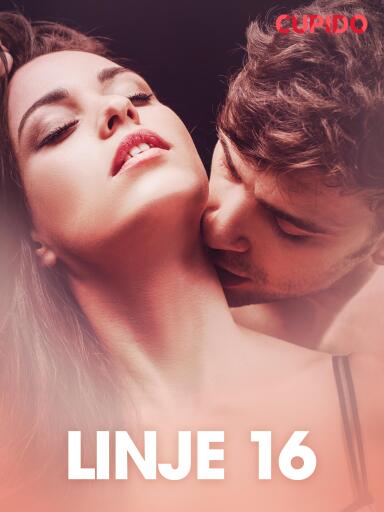 Portada del libro «Linje 16 – erotisk novell», de Cupido