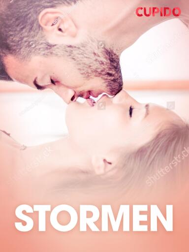 Portada del libro «Stormen - erotiska noveller», de Cupido