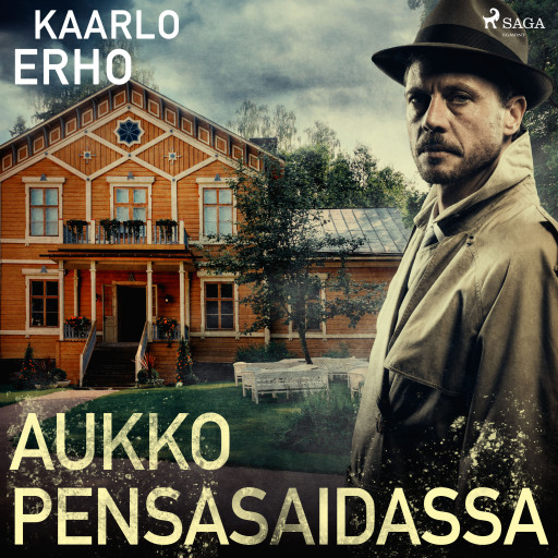 Portada del audiolibro «Aukko pensasaidassa», de Kaarlo Erho