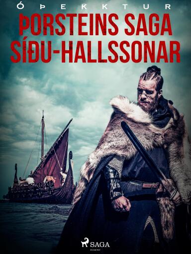 Portada del libro «Þorsteins saga Síðu-Hallssonar», de Óþekktur