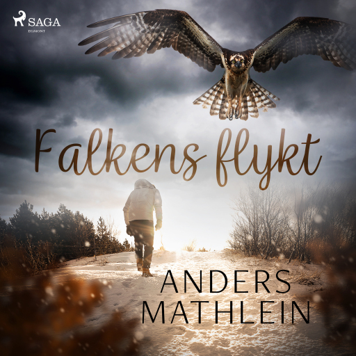 Portada del audiolibro «Falkens flykt»