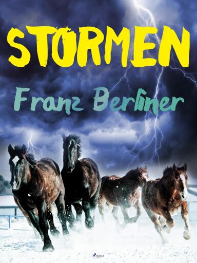 Portada del libro «Stormen», de Franz Berliner