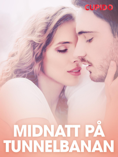 Portada del libro «Midnatt på tunnelbanan – erotiska noveller», de Cupido