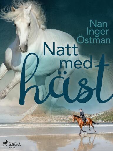 Portada del libro «Natt med häst», de Nan Inger Östman