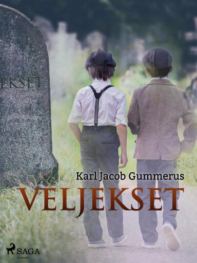 Portada del libro «Veljekset», de Karl Jacob Gummerus