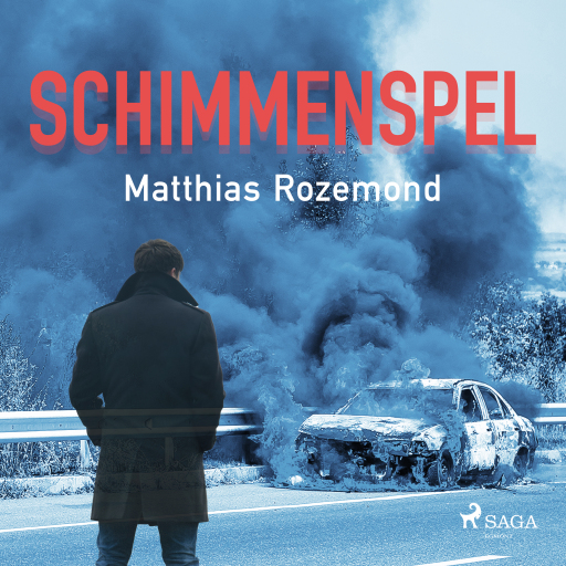 Portada del audiolibro «Schimmenspel», de Matthias Rozemond