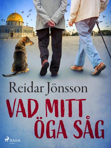 Portada del libro «Vad mitt öga såg», de Reidar Jönsson
