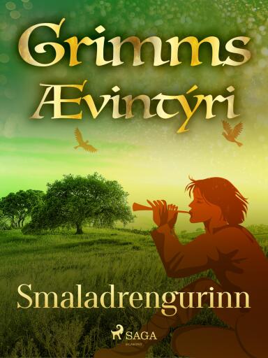 Portada del libro «Smaladrengurinn», de Grimmsbræður