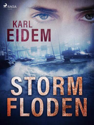 Portada del libro «Stormfloden», de Karl Eidem