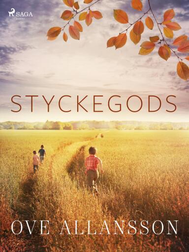 Portada del libro «Styckegods», de Ove Allansson