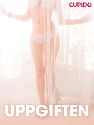 Portada del libro «Uppgiften – erotiska noveller», de Cupido