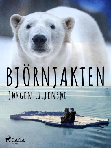 Portada del libro «Björnjakten»