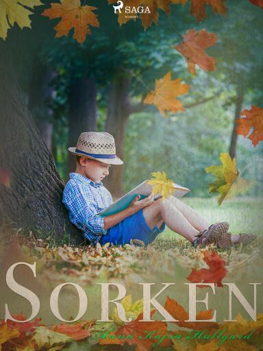 Portada del libro «Sorken», de Anna Kajsa Hallgard
