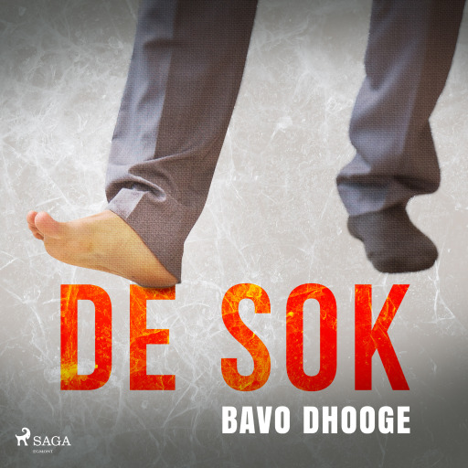 Portada del audiolibro «De sok», de Bavo Dhooge