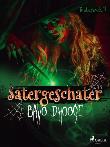 Portada del libro «Satergeschater», de Bavo Dhooge