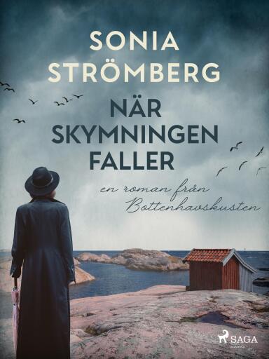 Portada del libro «När skymningen faller», de Sonia Strömberg