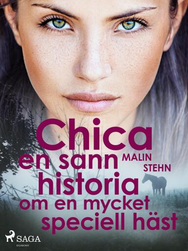 Portada del libro «Chica : en sann historia om en mycket speciell häst», de Malin Stehn