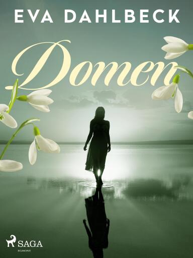 Portada del libro «Domen», de Eva Dahlbeck