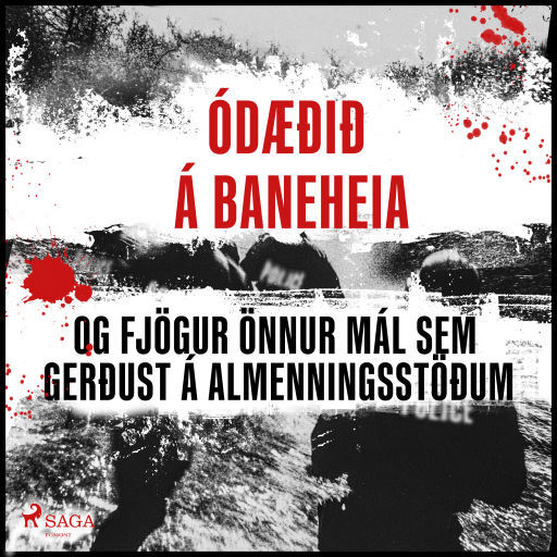 Portada del audiolibro «Ódæðið á Baneheia og fjögur önnur mál sem gerðust á almenningsstöðum», de Ýmsir